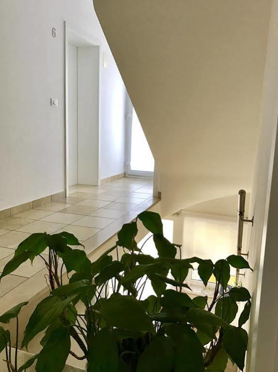 Apartments Lucija ポルトローシュ エクステリア 写真